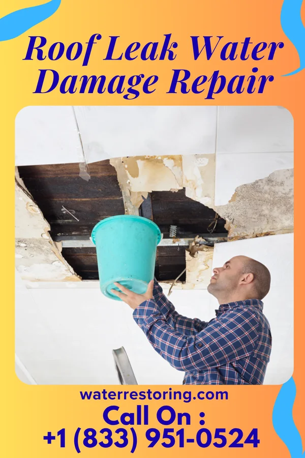Roof Leak Water Damage Repair in Edmonson, TX